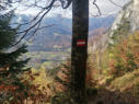 Radsteig - Predigstuhl